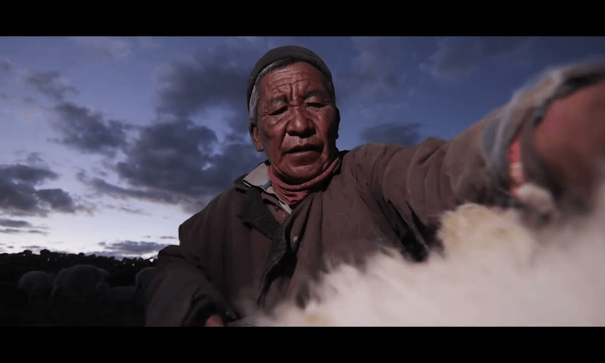 Still frame from Documentary Film Showreel, Documentary, 2024